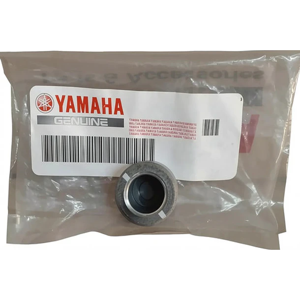 Polines Variador Yamaha Xmax 300 X6 Original 1