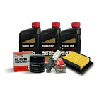 Kit Mantención Full Yamaha R3/a Mt03/a Bujias Filtros Aceite 1