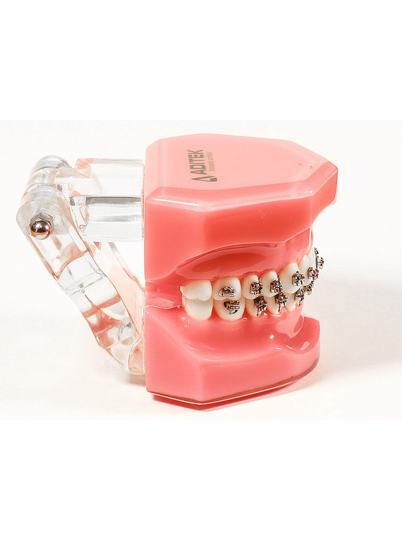 ADTK Brackets Autoligado Easyclip+ Pasivo Damon LT