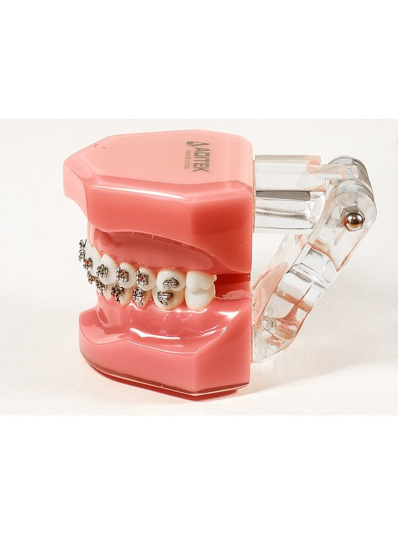 Aditek Brackets Vector Kit 5/5