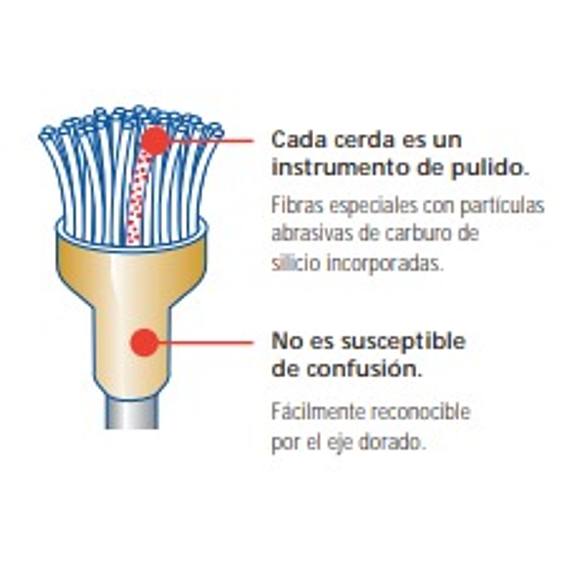 Occlubrush forma copa (escobilla con carburo de silicio) - 10 Unidades -Kerr 2