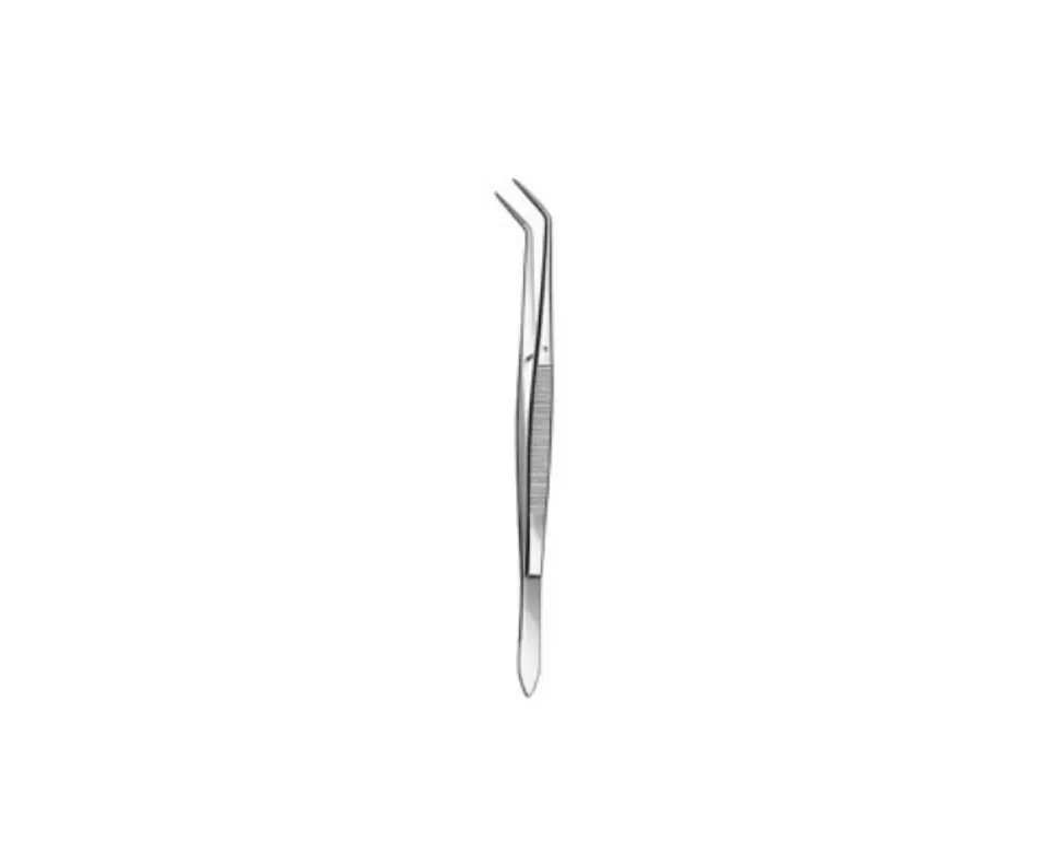 Pinza de Exámen Biangulada 1