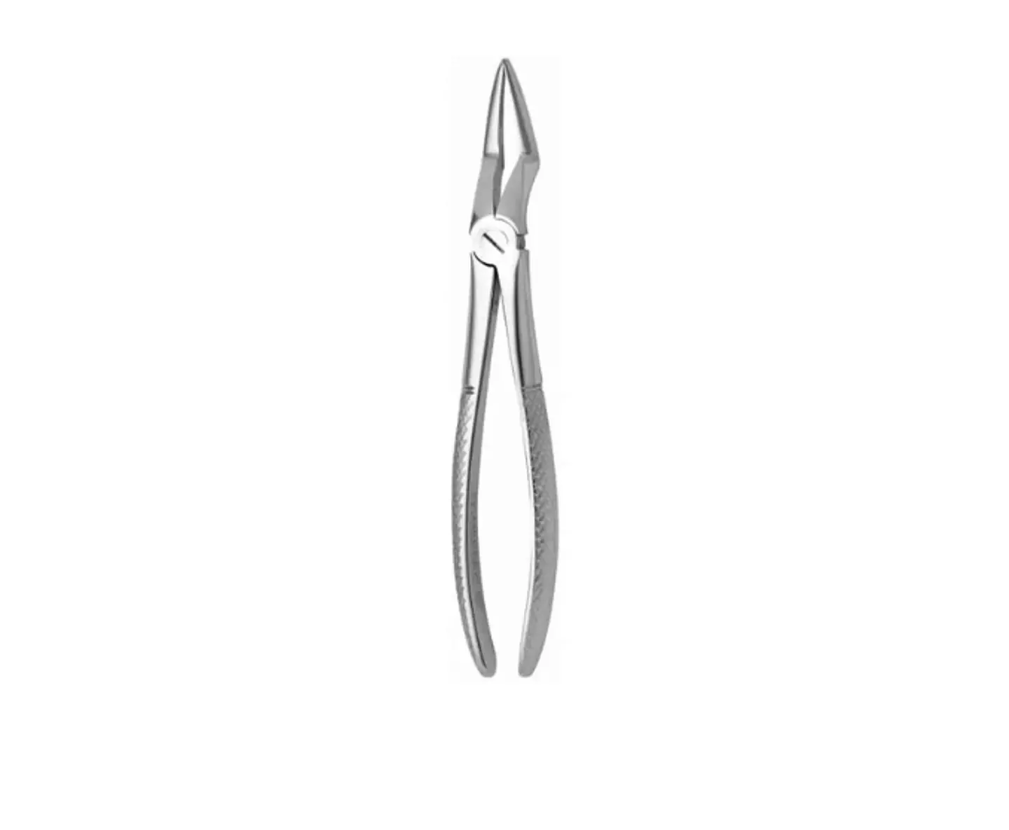 Forceps Bayoneta Mediana #52 1