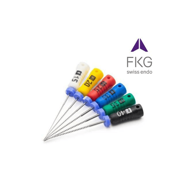 Lima K Flexofile 21mm 6 Unidades FKG 