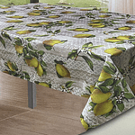 Toalha de Mesa ANTI-MANCHAS ESTAMPADA (150/250cm)