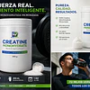 Creatina Monohidratada Micronizada