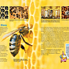 Das Bienenbuch für Kinder