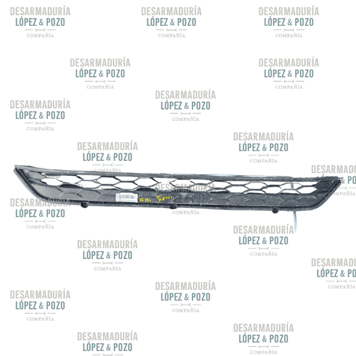 REJILLA PARACHOQUE DELANTERO VOLKSWAGENTIGUAN 1.4 2018-2022 1