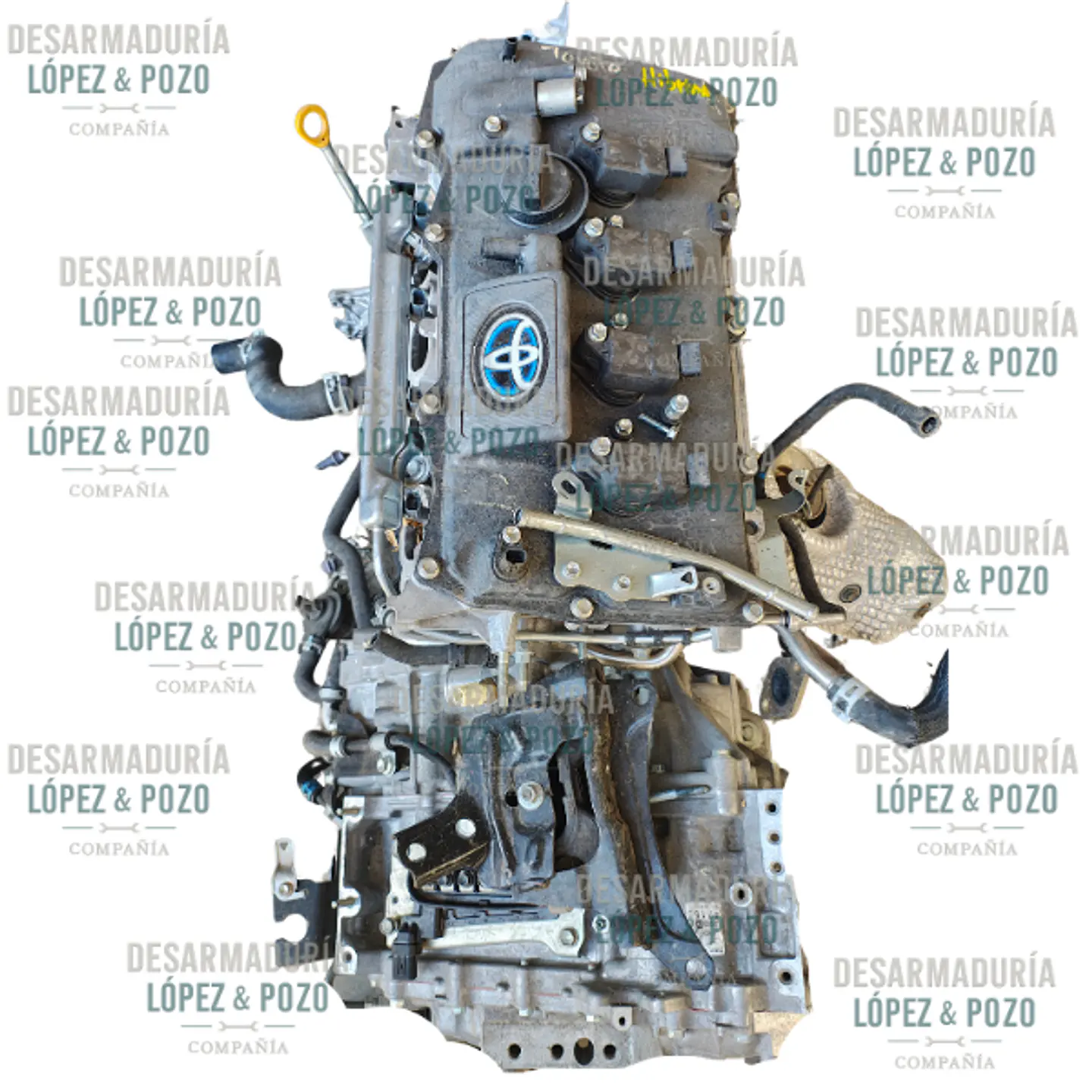 Motor Toyota S CROSS 1.8 HIBRIDO  año 2023, 2