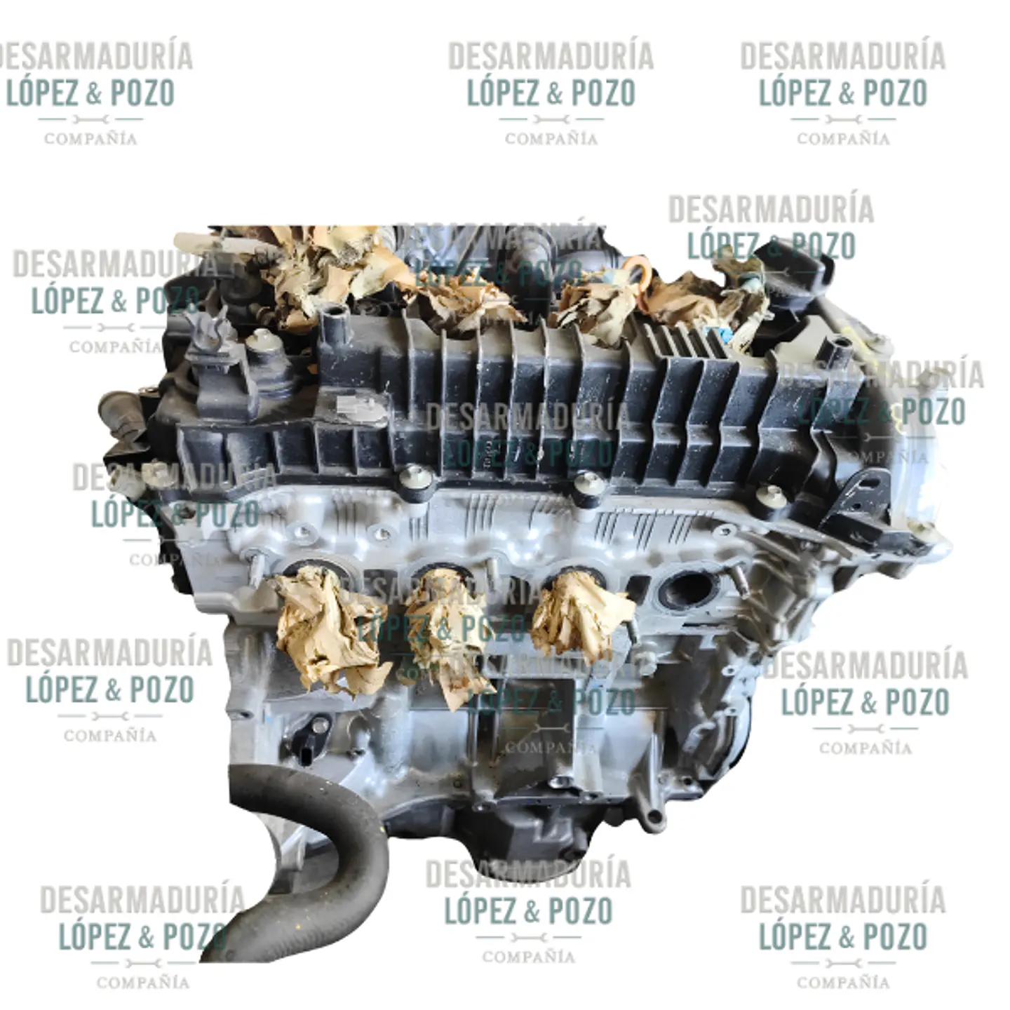 Motor Nissan Versa 1.6. Año 2019 -2023 3