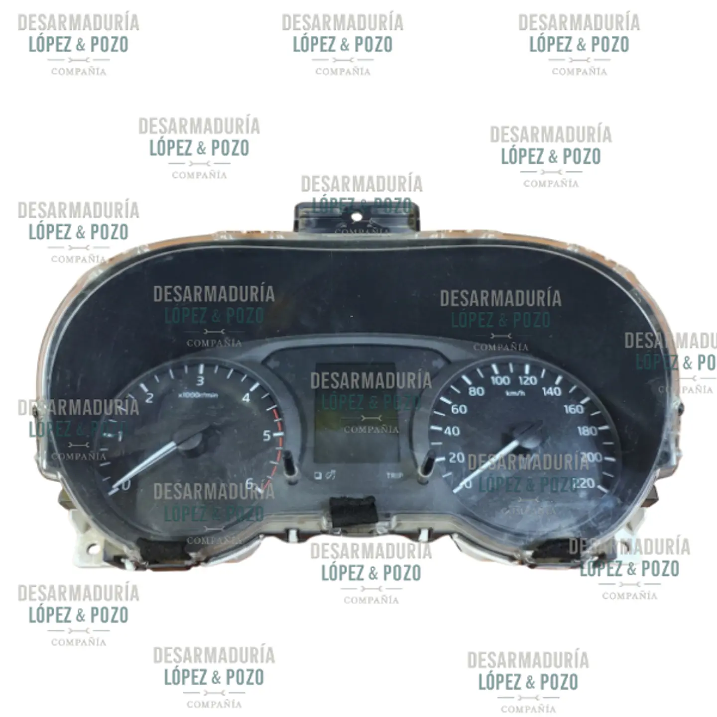 SINOPTICO NP300 MANUAL 2019 1