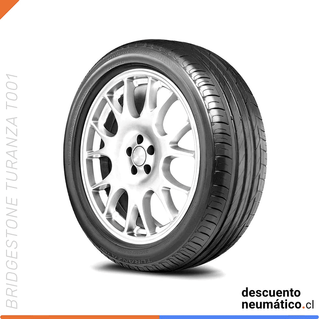 195/65R15 91V TURANZA T001