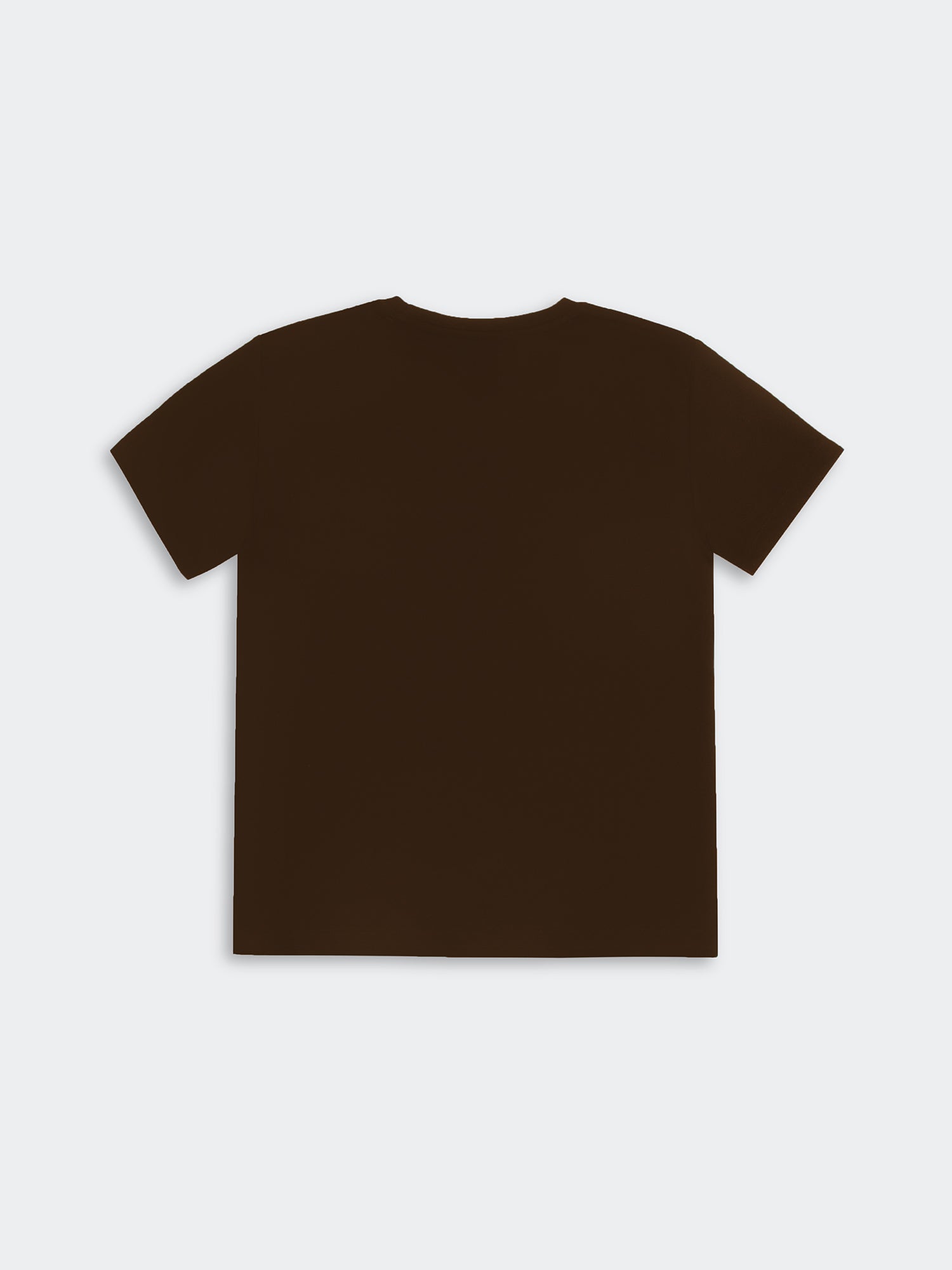 Polo para Mujer DVK PIMA CREW TEE Marrón 2