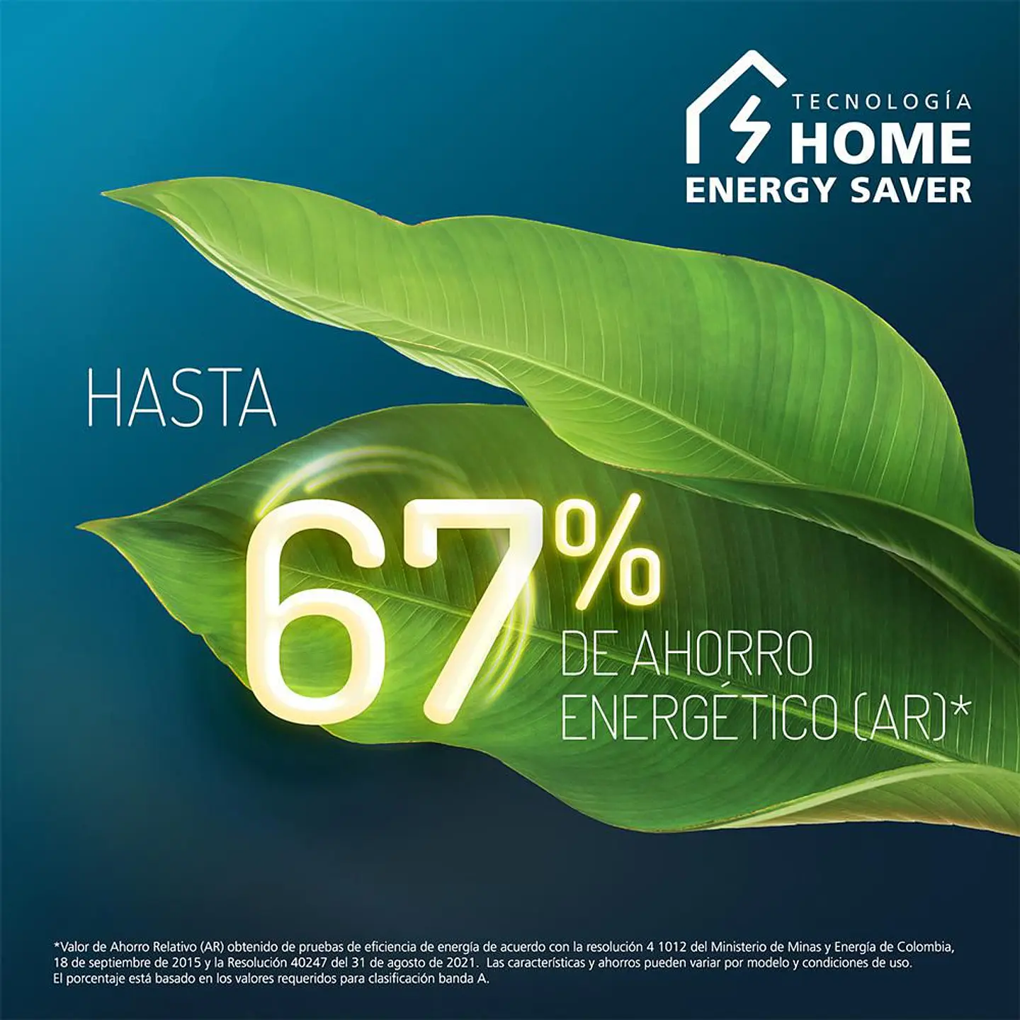Nevera MABE No Frost Congelador Superior 230 Litros Netos RMA247FJCG RMA247FJCG Grafito 7