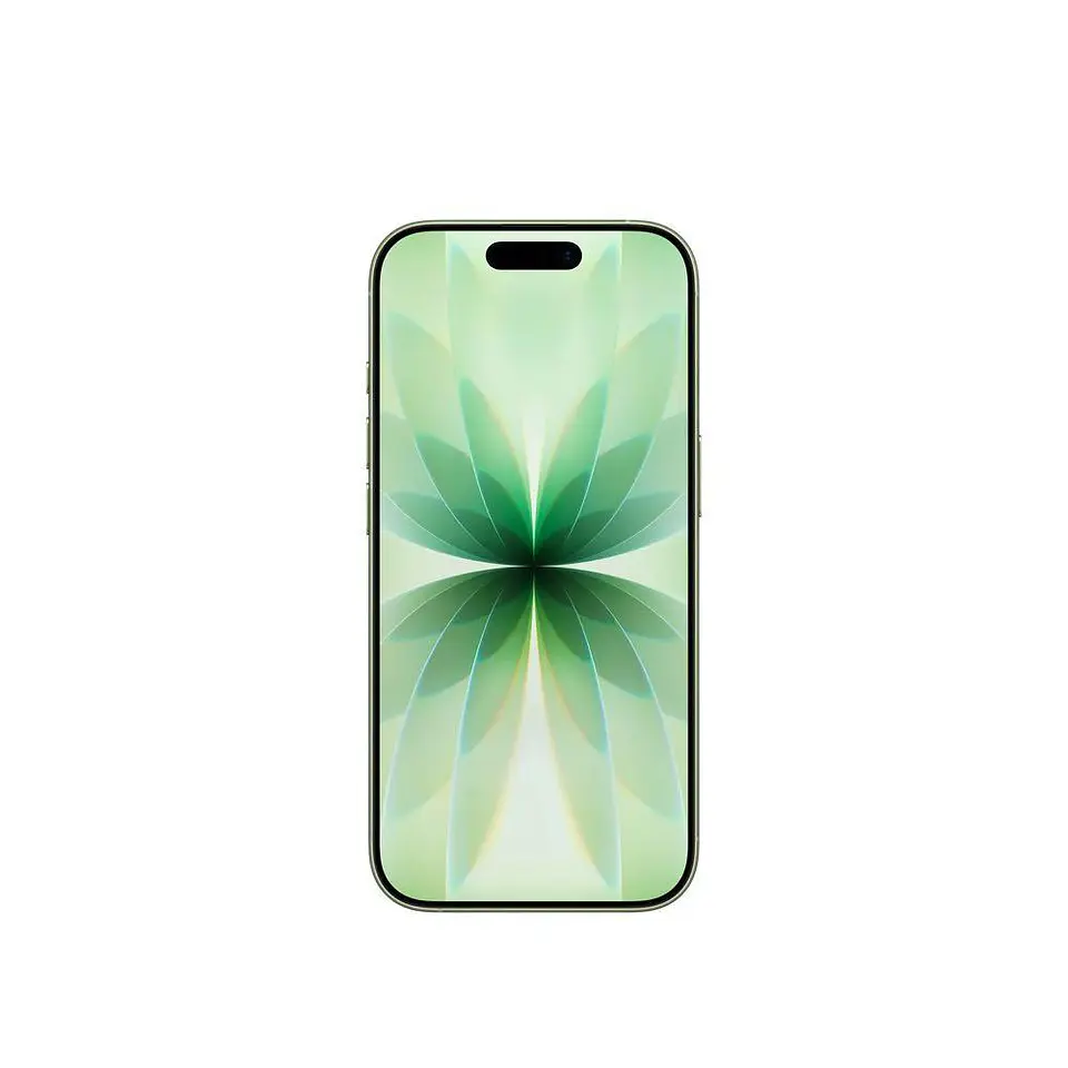 Iphone 17 256Gb Verde Esim 2