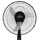 Ventilador Pedestal 16