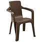 Silla Eterna Con Brazos Wengué / Rimax - Miniatura 1