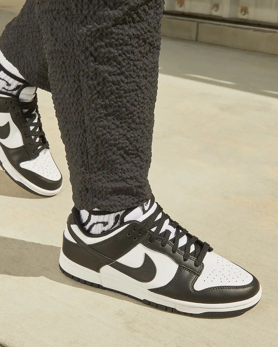 Nike Dunk Low Retro 5