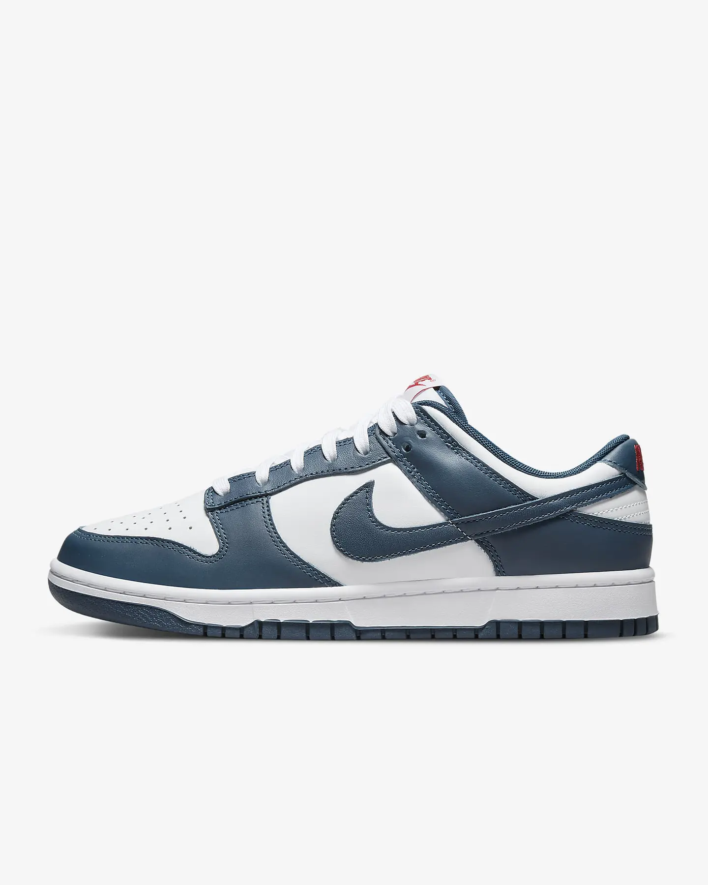 Nike Dunk Low Retro 19
