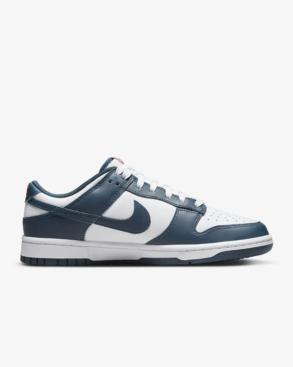Nike Dunk Low Retro 20