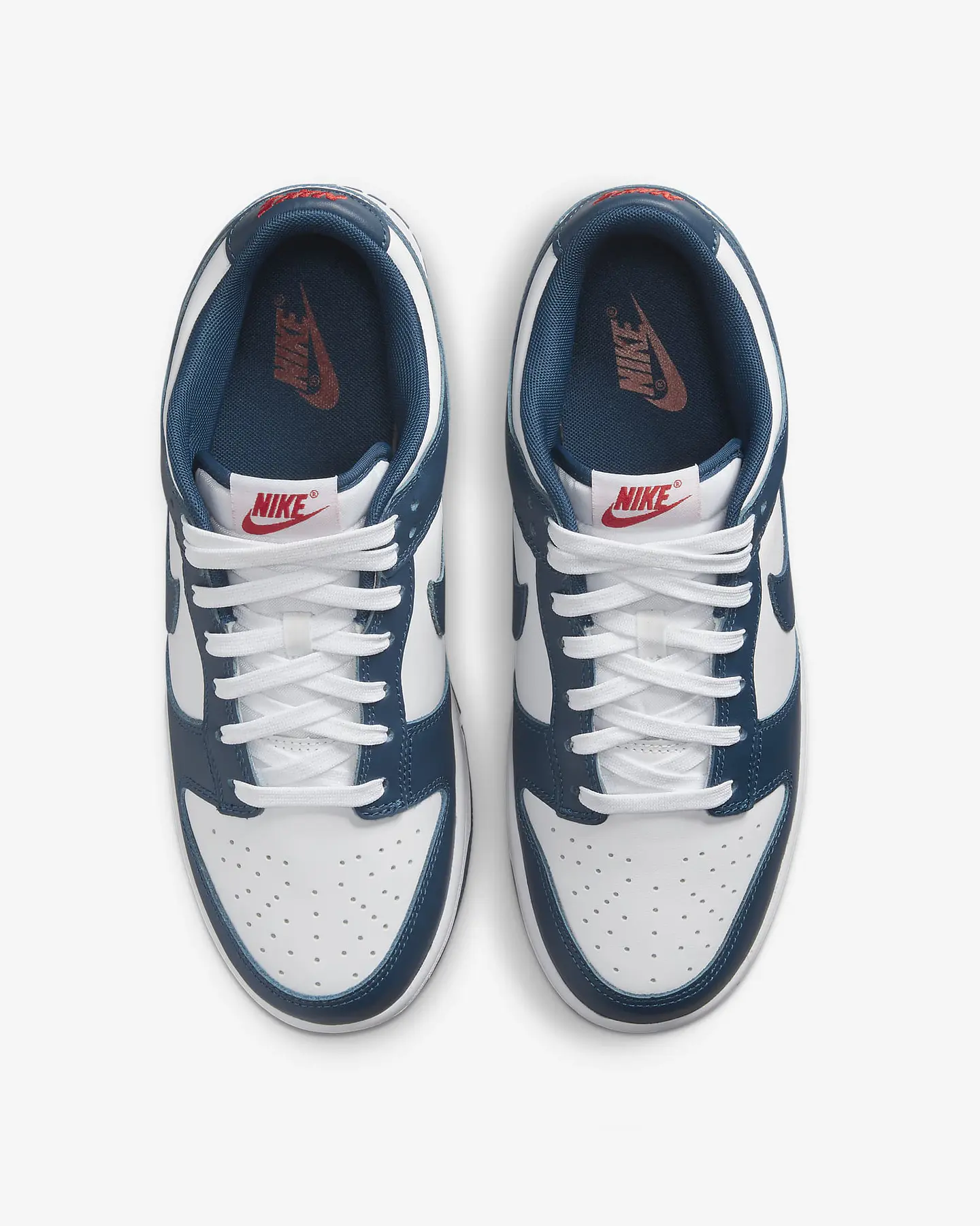 Nike Dunk Low Retro 21