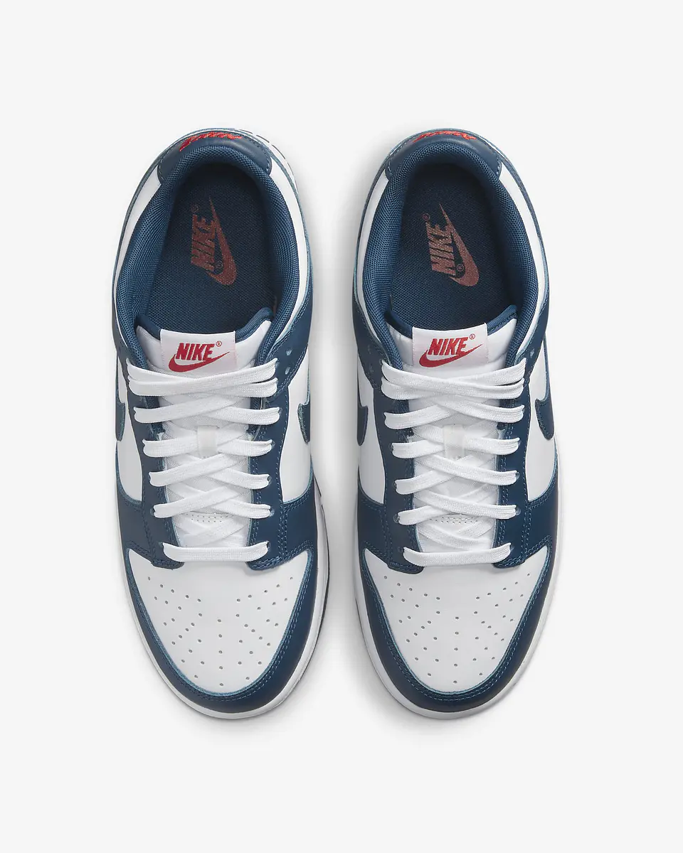 Nike Dunk Low Retro 21