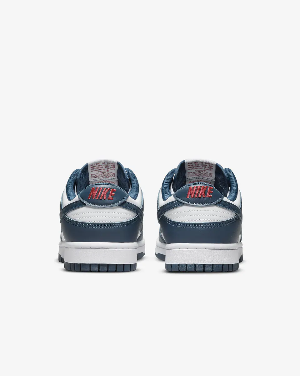 Nike Dunk Low Retro 22