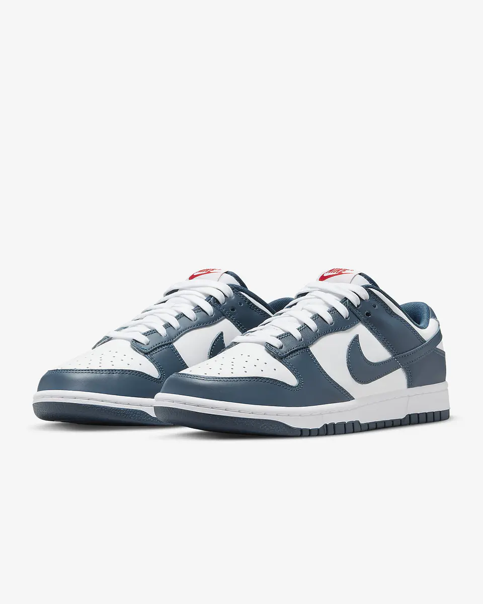 Nike Dunk Low Retro 23