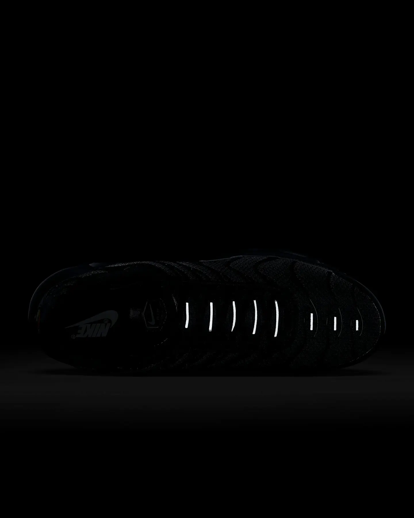 Nike Air Max Plus 10