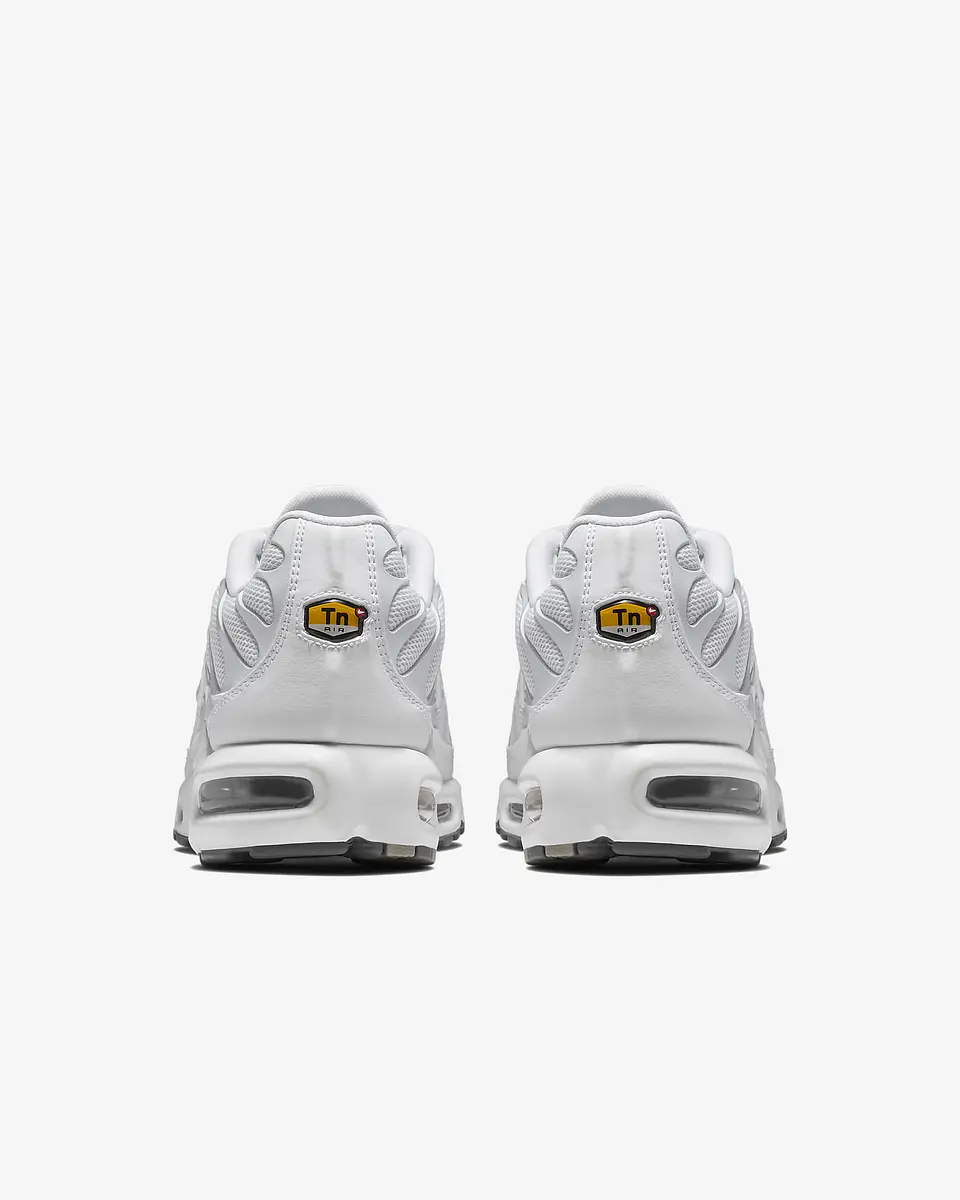 Nike Air Max Plus 17