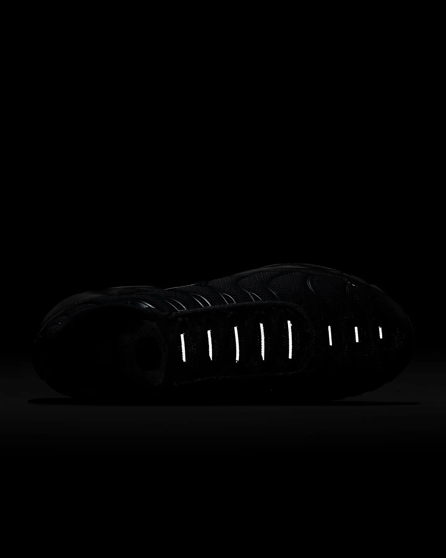Nike Air Max Plus 19