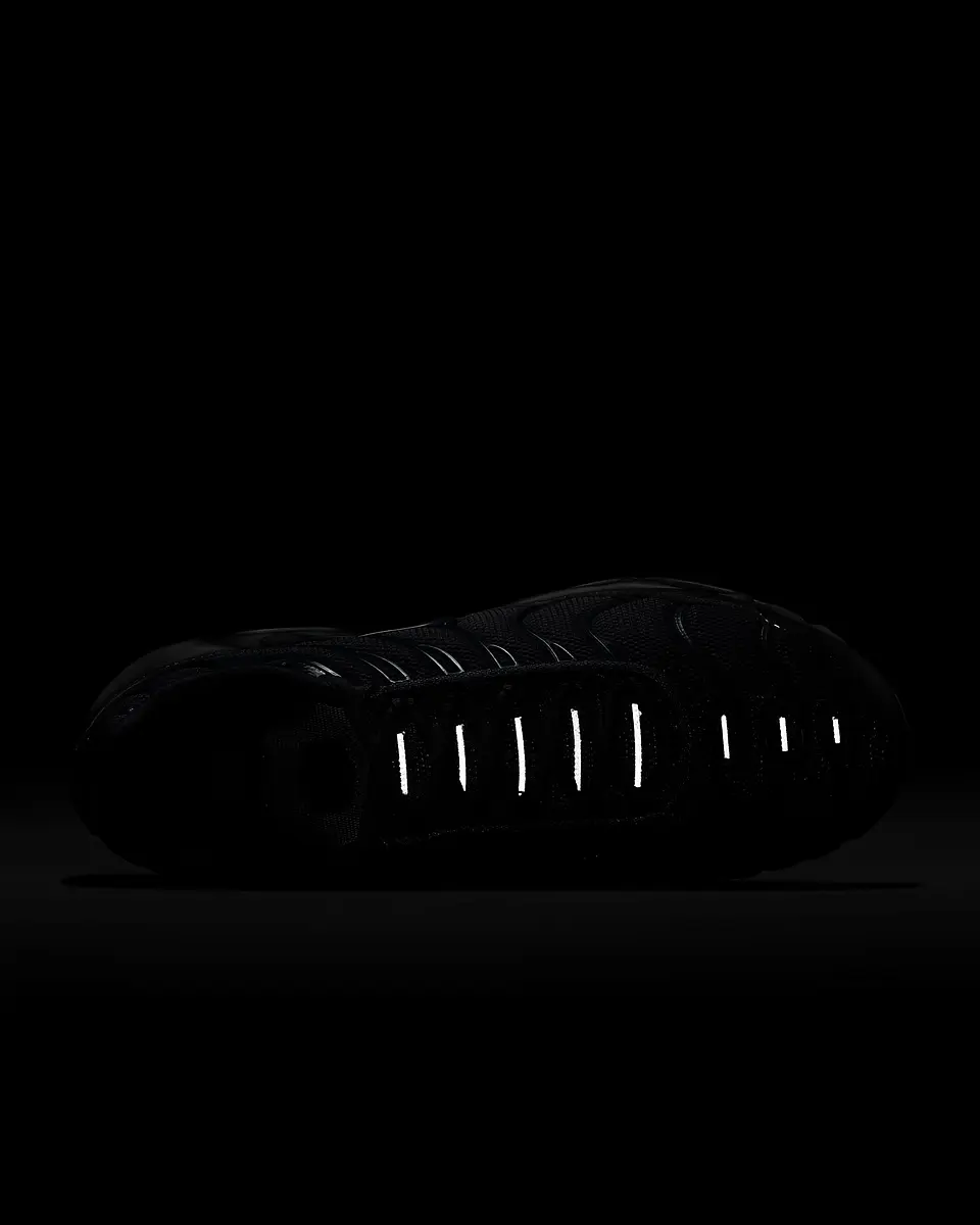 Nike Air Max Plus 19