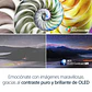 Televisor A80L| BRAVIA XR | OLED | 4K Ultra HD | Alto rango dinámico (HDR) | Smart TV (Google TV) - Miniatura 11