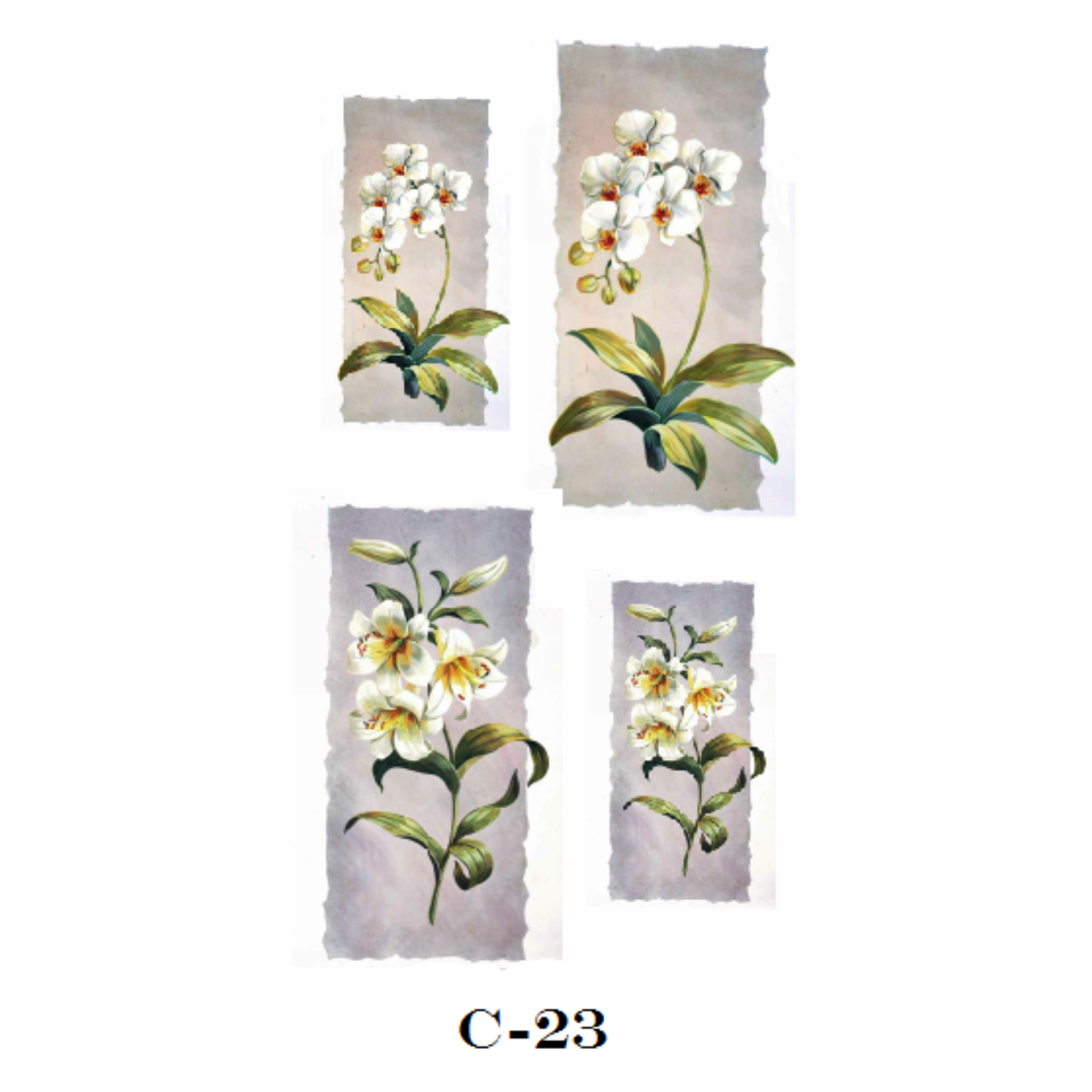 Calca C-023