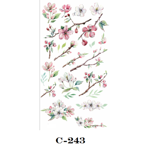 Calca C-243
