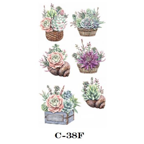 Calca C-038F
