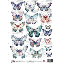 DMR082 Multisuperficie Transfer Color