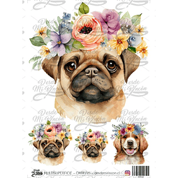 DMR035 Multisuperficie Transfer Color