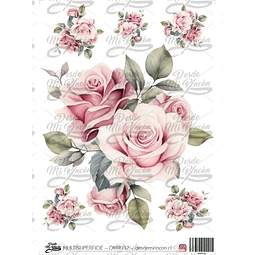 DMR032 Multisuperficie Transfer Color