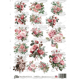 DMR031 Multisuperficie Transfer Color