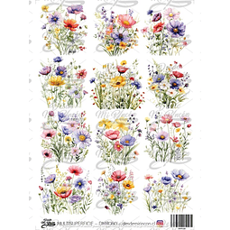 DMR080 Multisuperficie Transfer Color