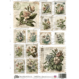 DMR079 Multisuperficie Transfer Color