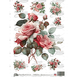 DMR030 Multisuperficie Transfer Color