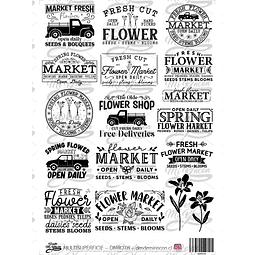 DMR078 Multisuperficie Transfer Color