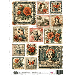 DMR077 Multisuperficie Transfer Color