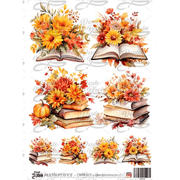 DMR027 Multisuperficie Transfer Color