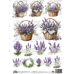 DMR026 Multisuperficie Transfer Color