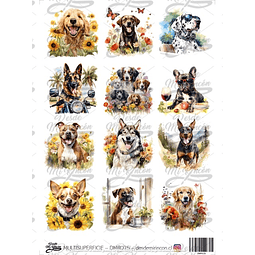 DMR075 Multisuperficie Transfer Color