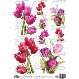 DMR025 Multisuperficie Transfer Color