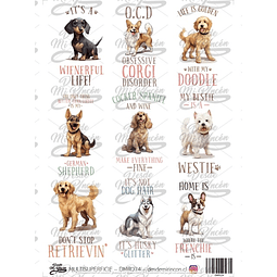 DMR074 Multisuperficie Transfer Color